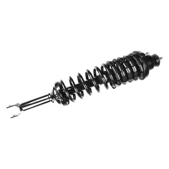 FCS® - Rear Driver Side Complete Strut Assembly