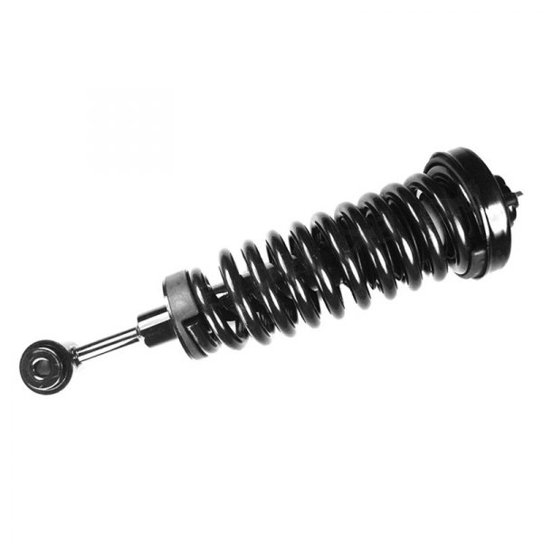 FCS® - Front Driver or Passenger Side Complete Strut Assembly