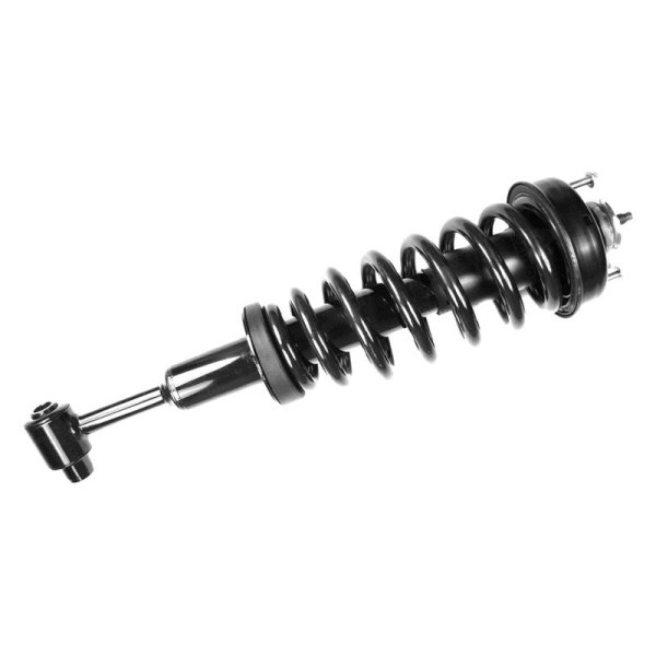 FCS® - Front Driver or Passenger Side Complete Strut Assembly