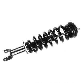FCS® - Front Complete Strut Assembly