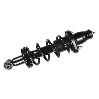 FCS® - Rear Passenger Side Complete Strut Assembly