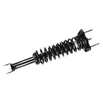 FCS® - Rear Driver or Passenger Side Complete Strut Assembly