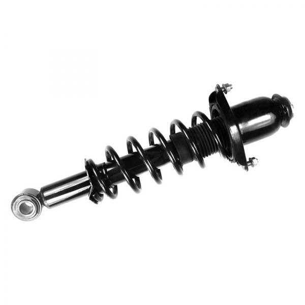 FCS® - Rear Passenger Side Complete Strut Assembly