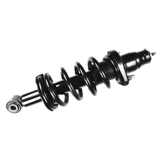 FCS® - Rear Passenger Side Complete Strut Assembly