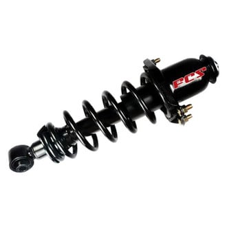 FCS® - Rear Passenger Side Complete Strut Assembly