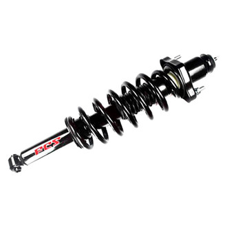 FCS® - Rear Driver or Passenger Side Complete Strut Assembly