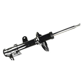 FCS® - Strut