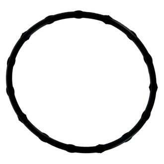 Fel-Pro® - Fuel Injection Plenum Gasket Set