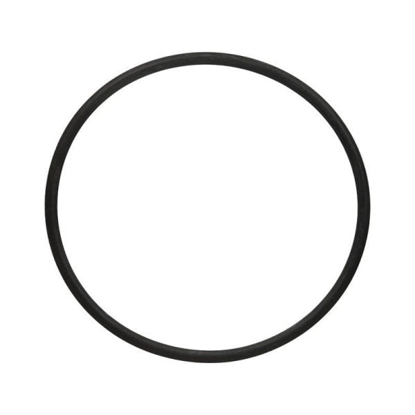 FelPro® 35641 Engine Coolant Water Pump ORing