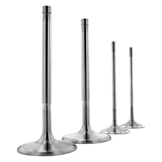 Ferrea® - 5000 Series Hi Performance Exhaust 12° Valve with Dish Head