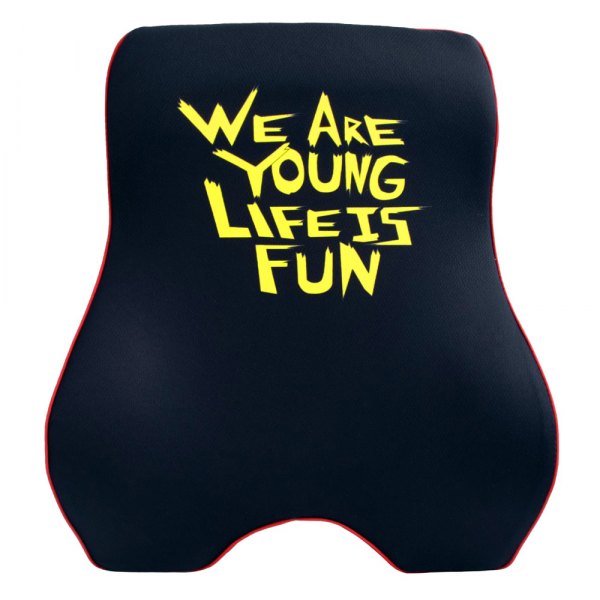 FH Group® - We Are Young Life Is Fun™ Memory Foam Back Cushion, Black