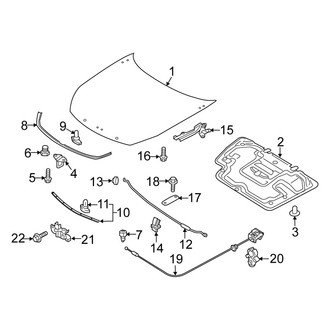 Fiat OE - Hood & Components