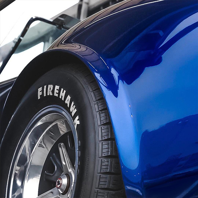 Firehawk On Blue Car