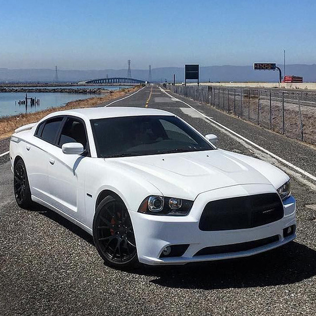 Tire On Mustang