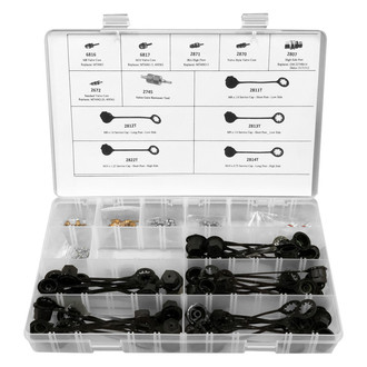 FJC® - 103-Piece Service Port Cap, Valve Core, Valve Core Tool and Port Assortment