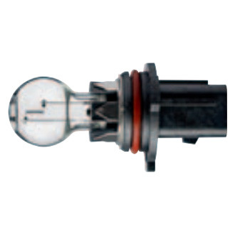 Flosser® - Halogen Bulb