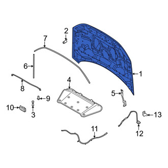 Ford OE - Front Hood Panel