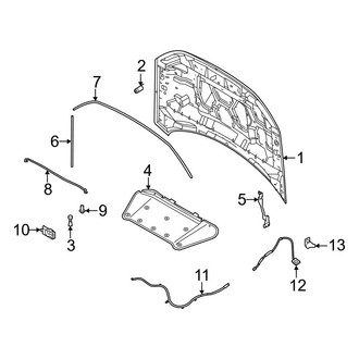 Ford OE - Hood & Components