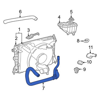 Ford OE - Lower Radiator Coolant Hose