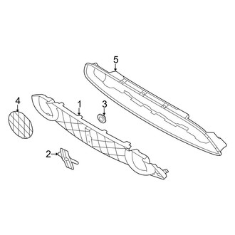 Ford OE - Front Bumper & Grille - Grille & Components (Boss 302)