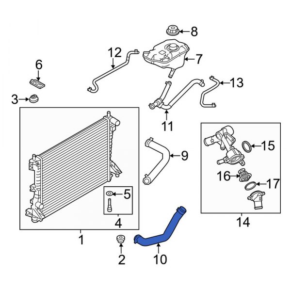 Ford OE BR3Z8286AA - Lower Radiator Coolant Hose