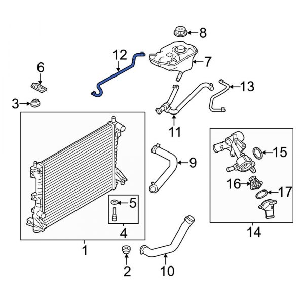 Engine Coolant Overflow Hose