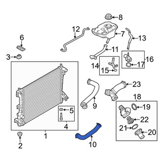 Ford OE - Lower Radiator Coolant Hose