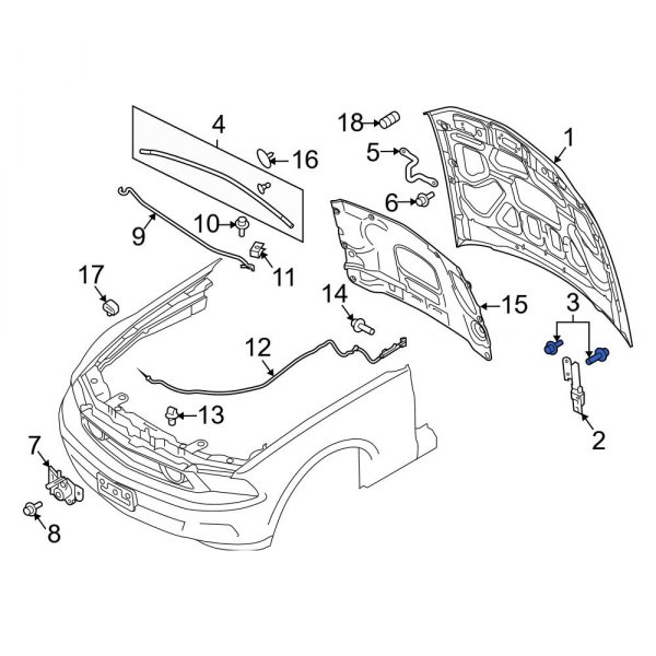 Hood Hinge Bolt