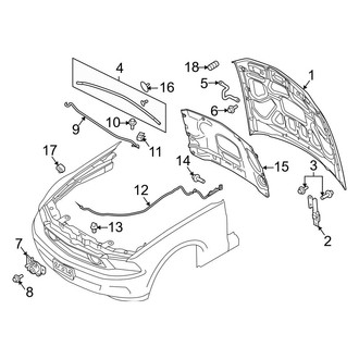 Ford OE - Hood & Components (Base / Boss 302 / GT)