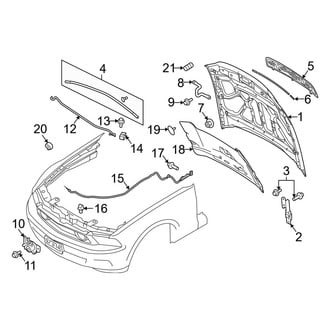 Ford OE - Hood & Components (Shelby GT500)