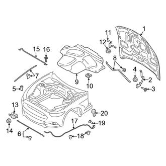Ford OE - Hood & Components (Shelby GT350 / Shelby GT350R)
