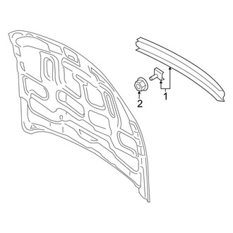 Ford OE - Hood - Exterior Trim (Shelby GT350 / Shelby GT350R)