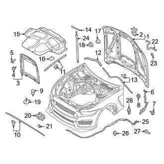 Ford OE - Hood & Components (Shelby GT500)