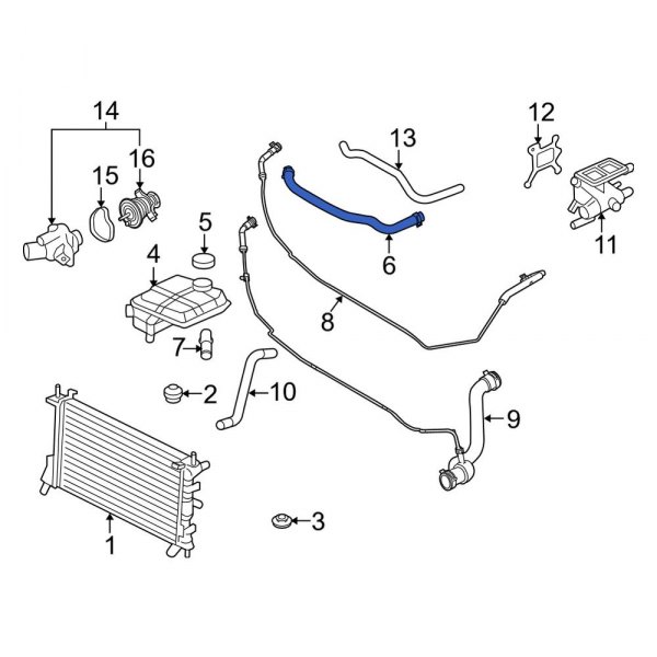 Engine Coolant Overflow Hose