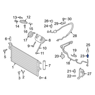 Ford OE - A/C Service Valve Core
