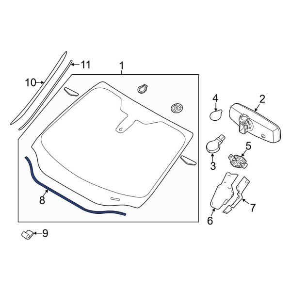 Windshield Molding