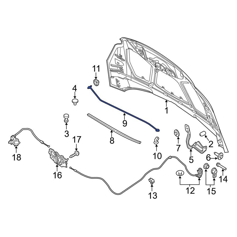 Ford OE BM5Z16826C - Front Hood & Trunk Prop Rod