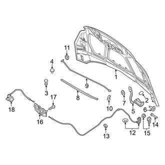 Ford OE - Hood & Components (BATTERY EV (EV/BEV))