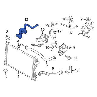 Ford OE - Lower Radiator Coolant Hose