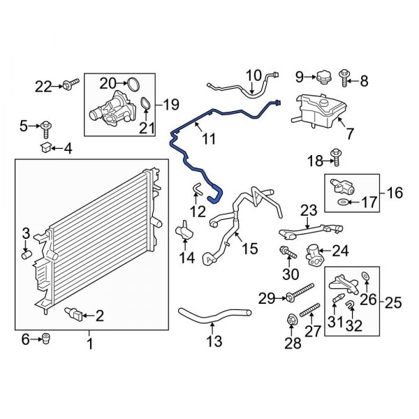 Engine Coolant Overflow Hose