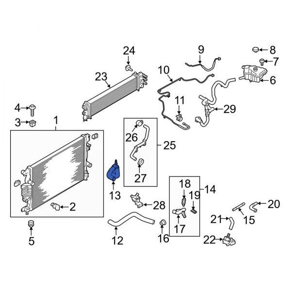 Radiator Coolant Hose