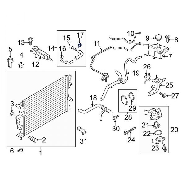 Engine Coolant Overflow Hose C-Clip