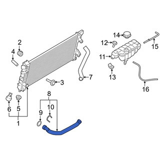 Ford OE - Lower Radiator Coolant Hose