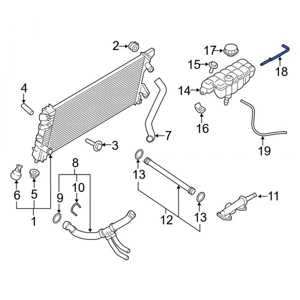 Engine Coolant Overflow Hose