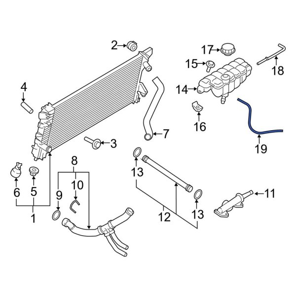 Engine Coolant Overflow Hose