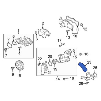 Ford OE - Lower Radiator Coolant Hose