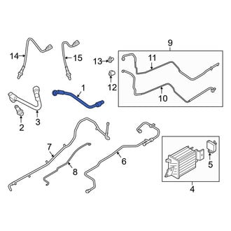 Ford OE - PCV Valve Hose