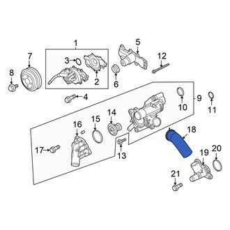 Ford OE - Lower Radiator Coolant Hose
