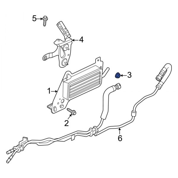 Automatic Transmission Oil Cooler Nut