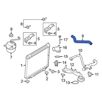 Ford OE - Upper Radiator Coolant Hose